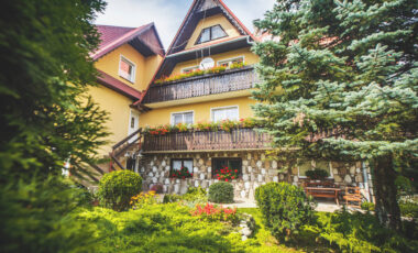 _MG_1684 _MG_1684
